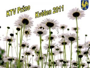Program KTV Nai jubilanti Co najdete na edn