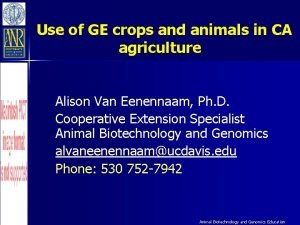 Use of GE crops and animals in CA