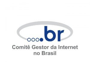 BRAZILIAN INTERNET GOVERNANCE MODEL Hartmut Glaser Executive Coordinator