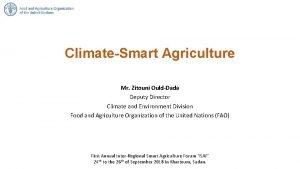 ClimateSmart Agriculture Mr Zitouni OuldDada Deputy Director Climate