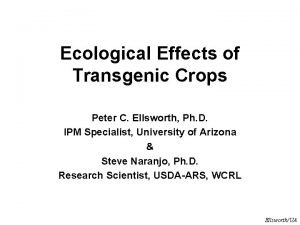 Ecological Effects of Transgenic Crops Peter C Ellsworth