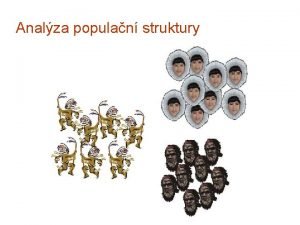 Analza populan struktury Hierarchick populan struktura Druh populace