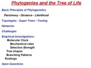 Phylogenies