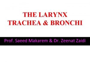 Relations of larynx