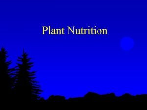 Macro nutrients