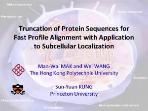 Truncation of Protein Sequences for Fast Profile Alignment