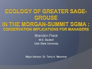 ECOLOGY OF GREATER SAGEGROUSE IN THE MORGANSUMMIT SGMA
