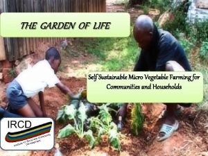 THE GARDEN OF LIFE Self Sustainable Micro Vegetable