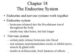 Chapter 18 The Endocrine System Endocrine and nervous