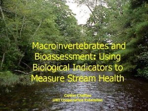 Macroinvertebrates and Bioassessment Using Biological Indicators to Measure