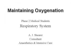 Maintaining Oxygenation Phase 2 Medical Students Respiratory System