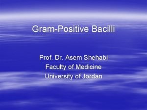 GramPositive Bacilli Prof Dr Asem Shehabi Faculty of