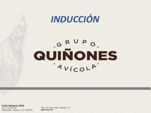 Grupo quiñones avicola