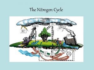 Natural source of nitrogen