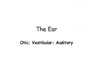 The Ear Otic Vestibular Auditory External Ear contains