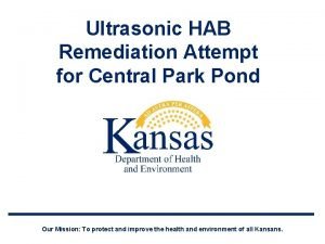 Apolonio tree nursery Apolonio tree nursery