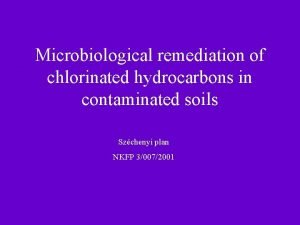 Microbiological remediation of chlorinated hydrocarbons in contaminated soils