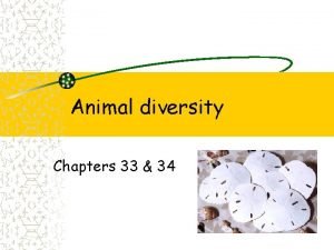 Animal diversity Chapters 33 34 Coelomates Deuterostome Endoskeleton