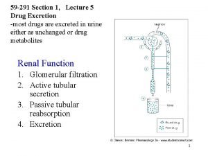 Rate of elimination of drug