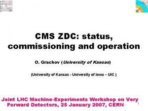 CMS ZDC status commissioning and operation O Grachov