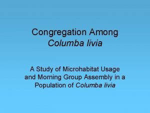 Congregation Among Columba livia A Study of Microhabitat