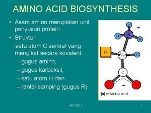 AMINO ACID BIOSYNTHESIS Asam amino merupakan unit penyusun