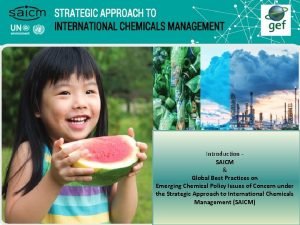 Introduction SAICM Global Best Practices on Emerging Chemical