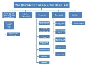 Male Reproductive Biology Group Home Page Faculty Bios