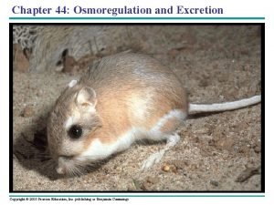 Chapter 44 Osmoregulation and Excretion Copyright 2005 Pearson