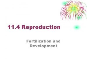 11 4 Reproduction Fertilization and Development I Fertilization