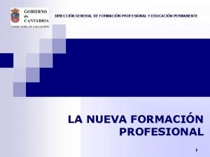 DIRECCIN GENERAL DE FORMACIN PROFESIONAL Y EDUCACIN PERMANENTE