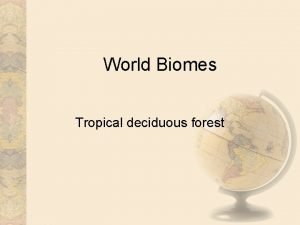 World Biomes Tropical deciduous forest Introduction Tropical deciduous