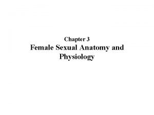 Female external reproductive system