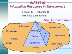 INFSY 540 Information Resources in Management Lesson 14