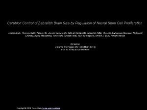Cereblon Control of Zebrafish Brain Size by Regulation