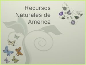 Tipos de recursos naturales Tipos de recursos naturales