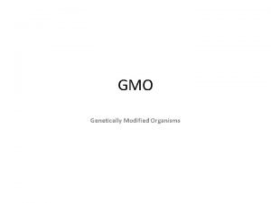 GMO Genetically Modified Organisms Against GMOs The War