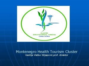 Montenegro Health Tourism Cluster Vasilije Vlatko Stijepovi prof
