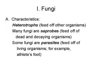 Heterotrophs Heterotrophs