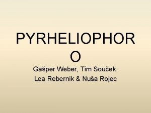 Pyrheliophor