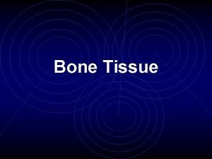 Compact bone tissue slide