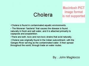 Cholera Cholera is found in contaminated aquatic environments