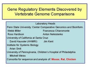 Gene Regulatory Elements Discovered by Vertebrate Genome Comparisons