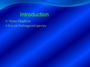 Elephant behavioral adaptations