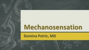 Mechanosensation Domina Petric MD Functions of somatosensory system
