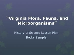 Flora fauna and microorganisms