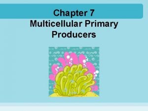 Chapter 7 Multicellular Primary Producers Primary producers those