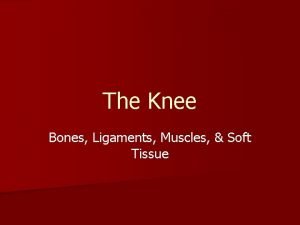 The Knee Bones Ligaments Muscles Soft Tissue Bones