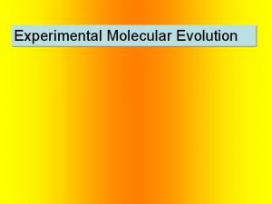 Experimental Molecular Evolution Evolution of bacterial resistance to