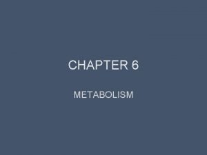 Metabolism refers to